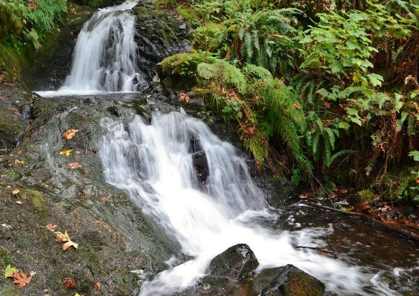 Shepperd's Dell State Natural Area, Oregon, USA